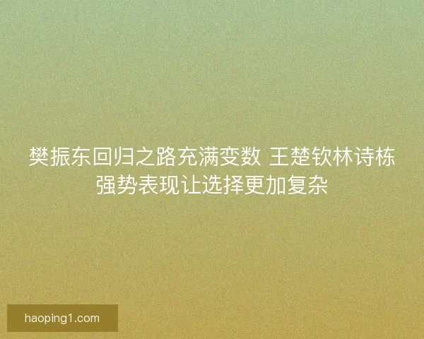 樊振东回归之路充满变数 王楚钦林诗栋强势表现让选择更加复杂